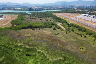 MP entra na Justiça para impedir derrubada de vegetação em área do Aeroporto de Jacarepaguá