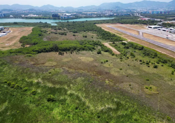MP entra na Justiça para impedir derrubada de vegetação em área do Aeroporto de Jacarepaguá