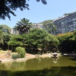 Prefeitura leva caso de desaparecimento de gansos do Parque Guinle à polícia ambiental