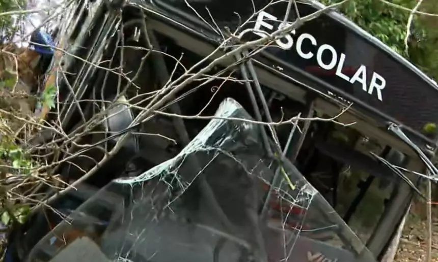 Ninguém ficou ferido; ônibus escolar estava estacionado na parte alta do barranco - Foto: Reprodução/RJTV