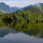 Parque Estadual dos Três Picos, na Região Serrana do Rio, recebe monitoramento do Projeto Guapiaçu, para restauração da Mata Atlântica: regeneração da natureza, degeneração da humanidade (Foto: Tânia Rego / Agência Brasil – 28/03/2023)