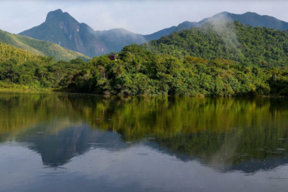 Parque Estadual dos Três Picos, na Região Serrana do Rio, recebe monitoramento do Projeto Guapiaçu, para restauração da Mata Atlântica: regeneração da natureza, degeneração da humanidade (Foto: Tânia Rego / Agência Brasil – 28/03/2023)