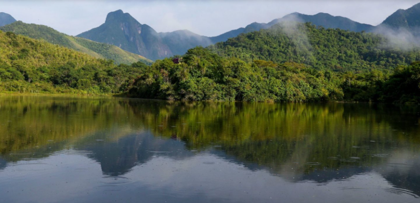 Parque Estadual dos Três Picos, na Região Serrana do Rio, recebe monitoramento do Projeto Guapiaçu, para restauração da Mata Atlântica: regeneração da natureza, degeneração da humanidade (Foto: Tânia Rego / Agência Brasil – 28/03/2023)