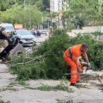 Em Copacabana, na Zona Sul, árvores interditaram vias, prejudicando a circulação de pedestres e veículos.