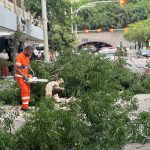Equipes da Comlurb trabalham para desobstruir a avenida Princesa Isabel, em Copacabana, interditada devido à queda de árvores
