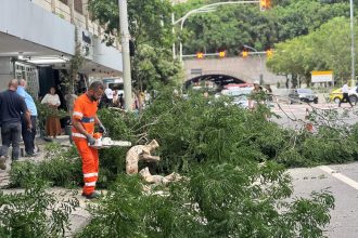 Equipes da Comlurb trabalham para desobstruir a avenida Princesa Isabel, em Copacabana, interditada devido à queda de árvores