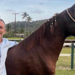 Com Dario Colares e Claudio Caiado, Rio ganha protagonismo na associação brasileira de criadores de cavalos mangalarga
