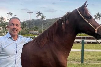 Com Dario Colares e Claudio Caiado, Rio ganha protagonismo na associação brasileira de criadores de cavalos mangalarga