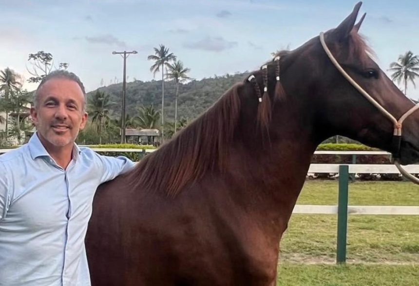 Com Dario Colares e Claudio Caiado, Rio ganha protagonismo na associação brasileira de criadores de cavalos mangalarga