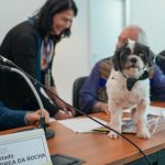 Todos os tipos de animais passam a ter proteção ampliada com o novo Código Estadual aprovado pela Alerj.