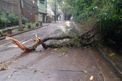 Fortes chuvas e ventos derrubaram galho de árvore na Estrada das Canoas, em São Conrado e causaram outras interdições na cidade.