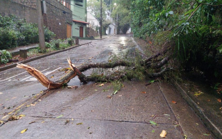 Fortes chuvas e ventos derrubaram galho de árvore na Estrada das Canoas, em São Conrado e causaram outras interdições na cidade.