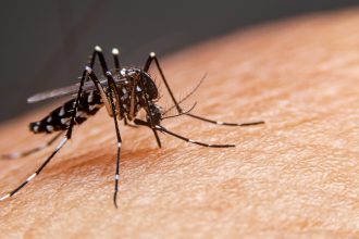 Em 2025, até terça-feira (4), foram registrados 29.315 casos prováveis, 1.200 internações e 25 óbitos por dengue.