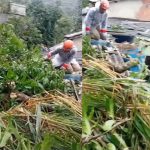 Duas dessas casas ficam no continente, uma no bairro Pontal e outra no Morro da Cruz, e três casas na vila do Abraão.