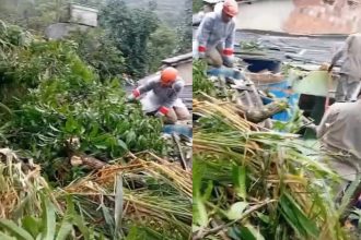 Duas dessas casas ficam no continente, uma no bairro Pontal e outra no Morro da Cruz, e três casas na vila do Abraão.
