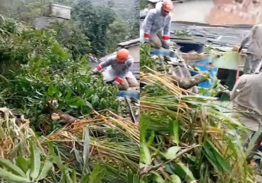 Duas dessas casas ficam no continente, uma no bairro Pontal e outra no Morro da Cruz, e três casas na vila do Abraão.