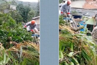Duas dessas casas ficam no continente, uma no bairro Pontal e outra no Morro da Cruz, e três casas na vila do Abraão.