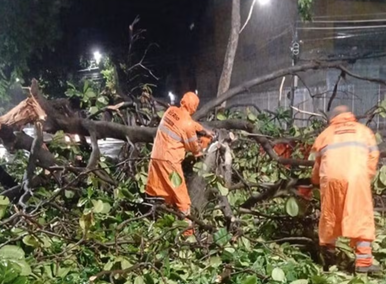 Captura de tela 2025 12 13 091312