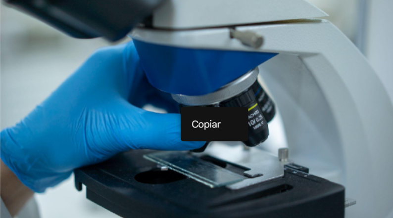 Captura de tela 2025 12 22 135704