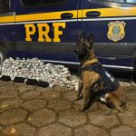 Polícia Federal apreendeu mais de 70 quilos de drogas em Piraí