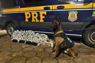 Polícia Federal apreendeu mais de 70 quilos de drogas em Piraí