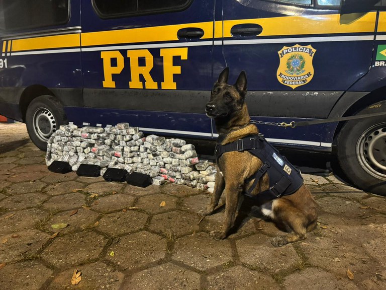 Polícia Federal apreendeu mais de 70 quilos de drogas em Piraí