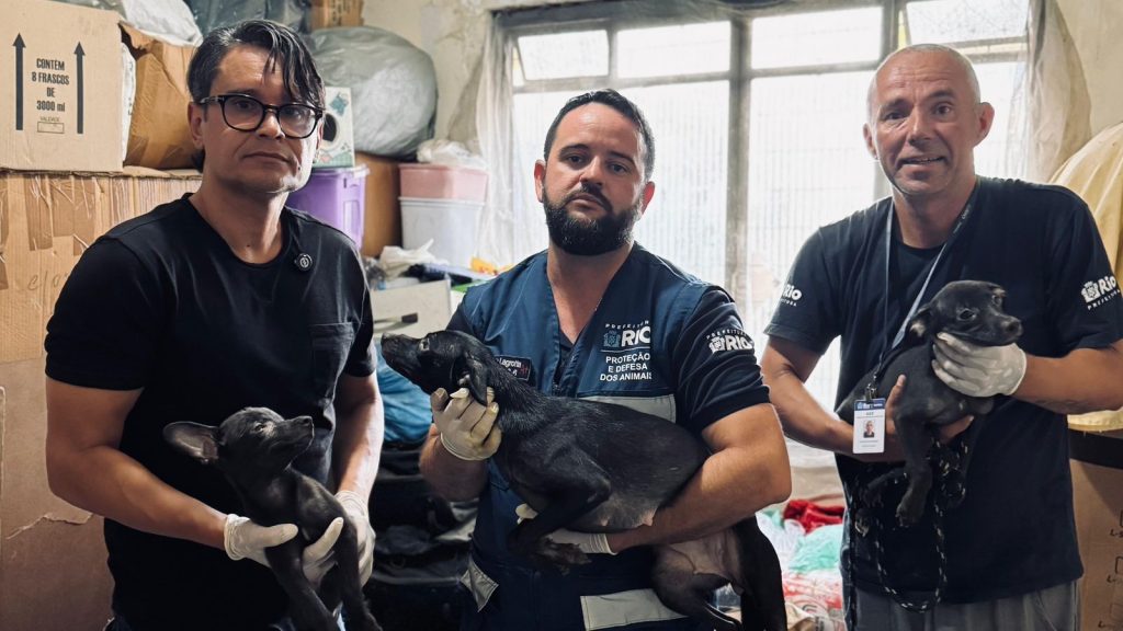 Prefeitura resgata 17 cães em condições de maus-tratos em Senador Camará; tutora é presa em flagrante 62 WhatsApp Image 2025 12 14 at 13.39.32 1