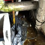 Fábrica de gelo interditada em Campo Grande apresentou falta de higiene em suas instalações