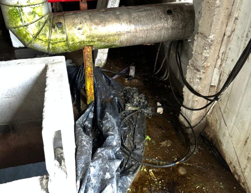 Fábrica de gelo interditada em Campo Grande apresentou falta de higiene em suas instalações