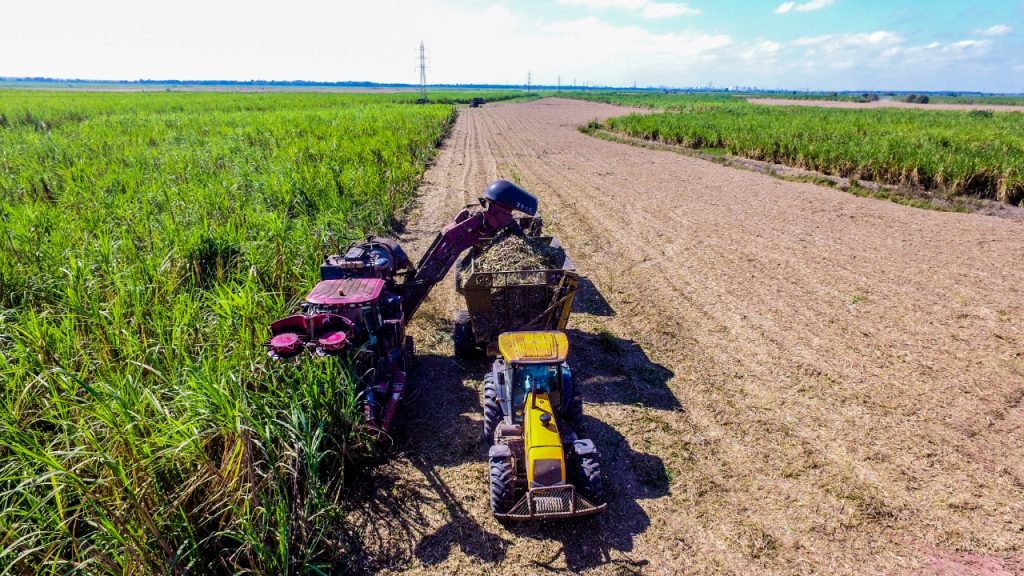 Após um ano desafiador, Coagro projeta retomada da produtividade industrial e agrícola em 2026