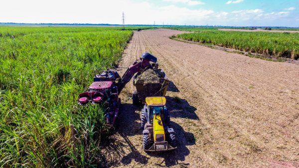 Depois de dois anos desafiadores, a Coagro volta a apostar no crescimento em 2026