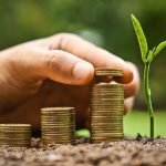 Mão equilibra moedas do lado de uma planta, representando o mercado de carbono.