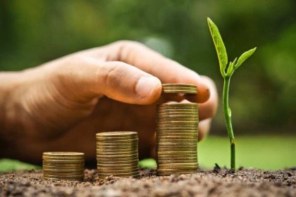 Mão equilibra moedas do lado de uma planta, representando o mercado de carbono.