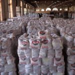 Cestas básicas na sede da Ação da Cidadania: Natal sem Fome, 32 anos de uma fundamental tradição natalina num país ainda com milhões em insegurança alimentar