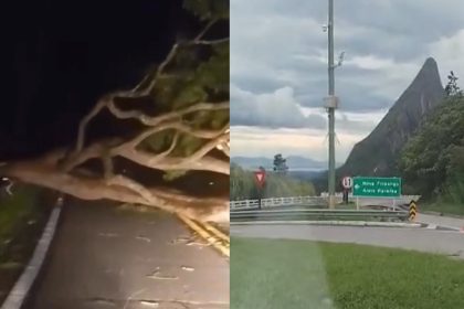 Ventania chegou a provocar queda de árvore na Serra de Teresópolis