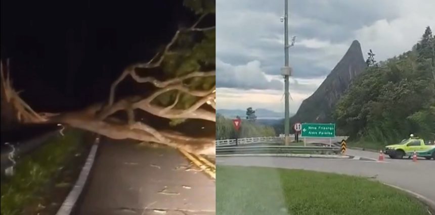 Ventania chegou a provocar queda de árvore na Serra de Teresópolis