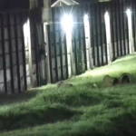 Presos fazem buraco na parede e tentam fugir do Complexo de Gericinó; policial penal é rendido