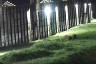 Presos fazem buraco na parede e tentam fugir do Complexo de Gericinó; policial penal é rendido