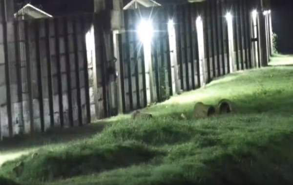 Presos fazem buraco na parede e tentam fugir do Complexo de Gericinó; policial penal é rendido