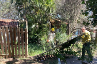 Derrubada de cerca em terreno de moradora de Búzios