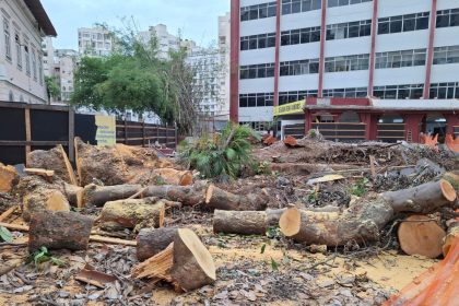 Árvores derrubadas no Flamengo