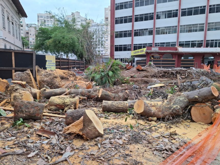 Árvores derrubadas no Flamengo