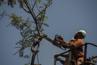 Corte de árvores não podem ser apenas avaliadas à luz das compensações urbanas, é a avaliação do presidente do CAU/RJ. Sydnei Menezes