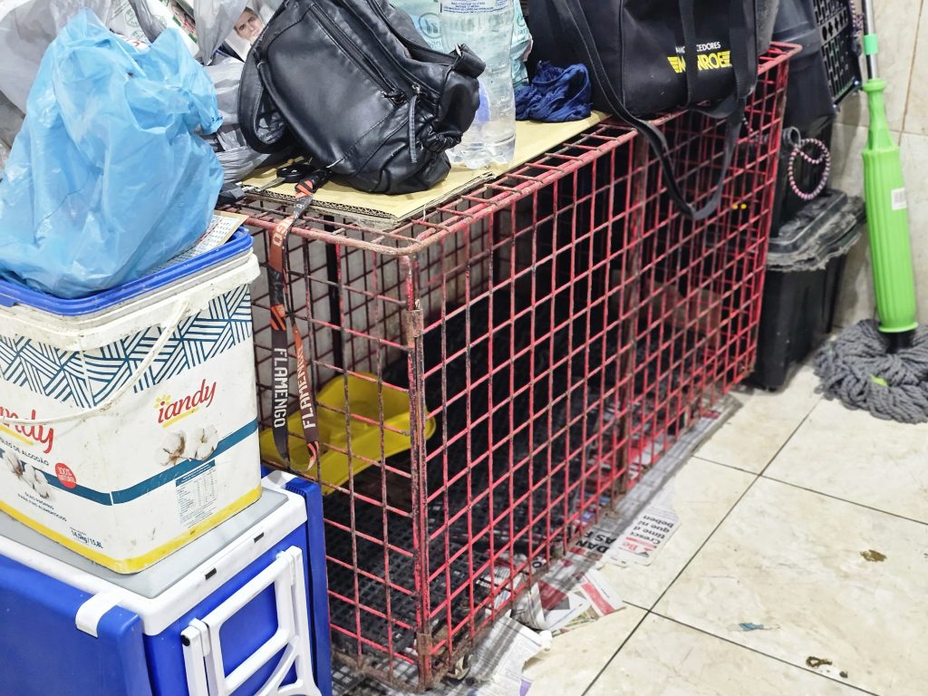 WhatsApp Image 2026 01 28 at 14.12.13 1