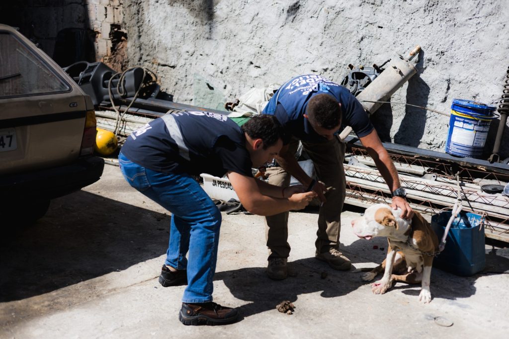 Prefeitura interdita ferro-velho irregular e resgata quatro animais em condições de maus tratos na Zona Norte 62 Agentes da prefeitura com cachorro em ferro-velho