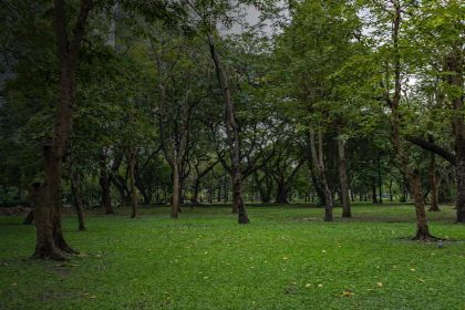 Parque Ary Barroso, na Penha, alvo de ação do MPRJ por abandono, degradação e ocupações irregulares.