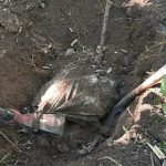 Principal linha de investigação indica milícia como responsável pelo cemitério