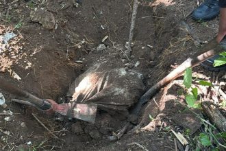 Principal linha de investigação indica milícia como responsável pelo cemitério