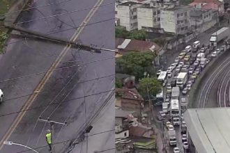 Trânsito na Av. Martin Luther King foi interditado após árvore derrubar poste
