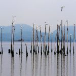 Governo promete retomar obras de saneamento na Baía de Guanabara em março